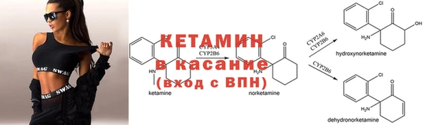 ГАЛЛЮЦИНОГЕННЫЕ ГРИБЫ Дмитриев