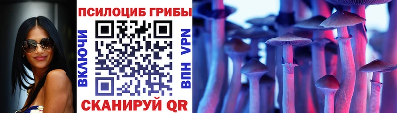 Псилоцибиновые грибы Psilocybine cubensis  KRAKEN рабочий сайт  Ишим  наркотики 
