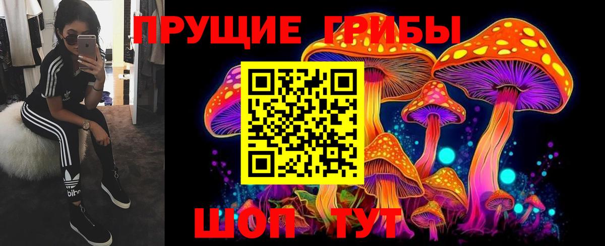 Галлюциногенные грибы Cubensis  Вход с VPN  Галлюциногенные грибы Psilocybine cubensis  Ишим 