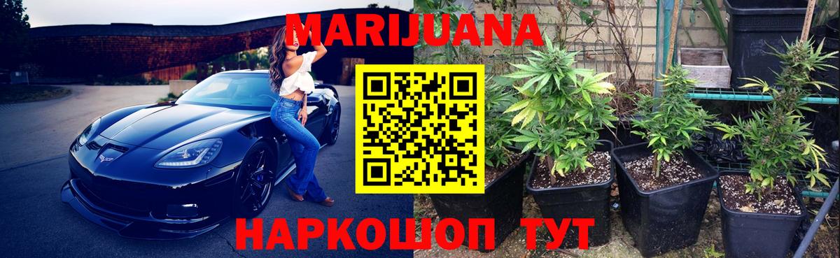 Канабис семена Ишим